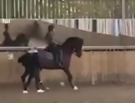 Charlotte Dujardin