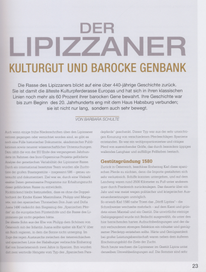 Feine Hilfen – Nr. 50 – Seite 23